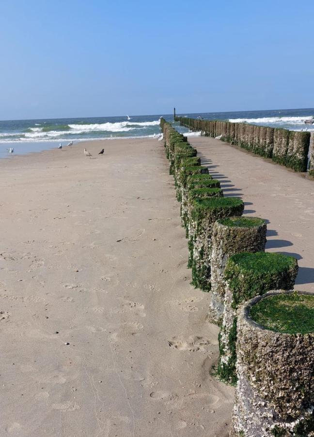 De Notenbalk Aan Zee Bed & Breakfast Влисинген Екстериор снимка