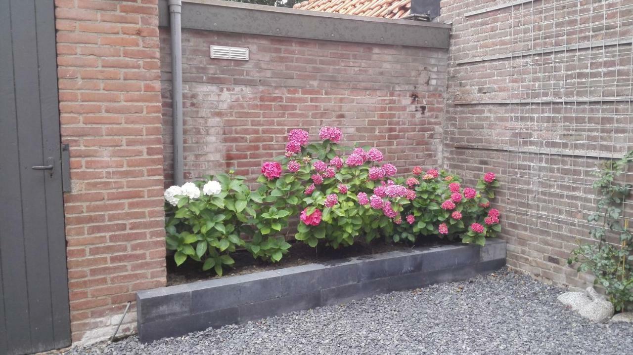 De Notenbalk Aan Zee Bed & Breakfast Влисинген Екстериор снимка